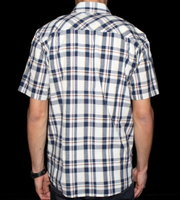Carhartt Shirt Baron white ink check