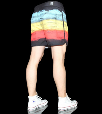 Insight Boardshorts Retro Bro Bunker black/multicolores