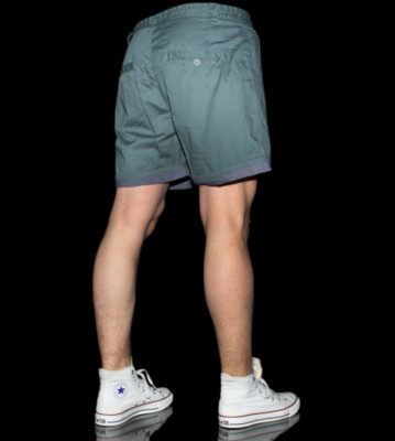Wesc Shorts Sloan green botanical
