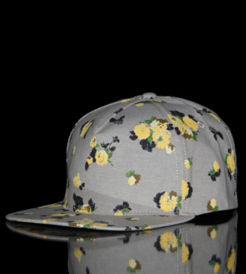 Obey Snap Cap Meadow Lark II beige oatmeal chambray