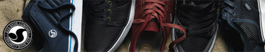 brand_dvs