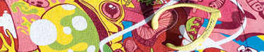 brand_havaianas