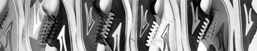 brand_lakai