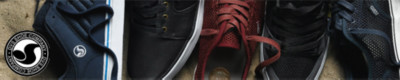 DVS